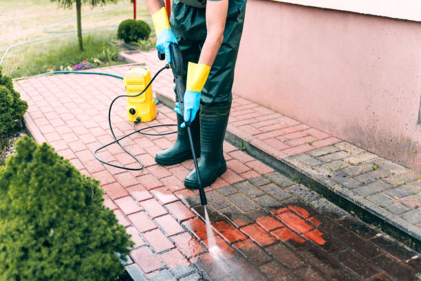 Best Roof Washing  in Lincoln, IL