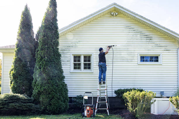 Best Driveway Pressure Washing  in Lincoln, IL